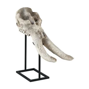 Beeld Furnilux – Polyresin Beige Wit – Antiek Design Schedel Beeld Furnilux – Polyresin Beige Wit – Antiek Design Schedel