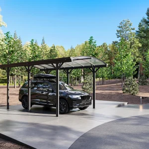 Zelfdragende enkele carport pergola van aluminium – 1 auto – 15,15 m² – Antracietgrijs – BARESA