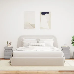 Barry John Nachtkastjes met LED 2 st 35x39x55 cm grijs sonoma eikenkleurig Barry John Nachtkastjes met LED 2 st 35x39x55 cm grijs sonoma eikenkleurig